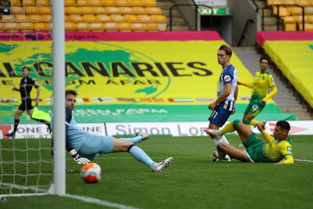 mk sports-布莱顿客场大胜诺里奇，升至中游位置的简单介绍